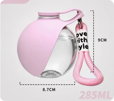 Portable Pet Water Bottle with Fold-Out Bowl