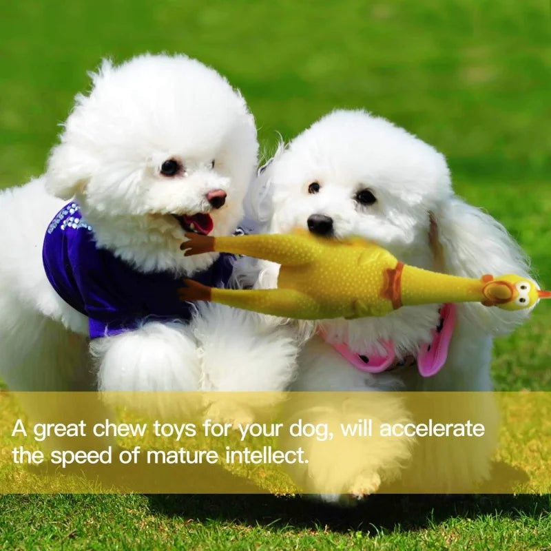 Screaming Chicken Squeaky Dog Toys