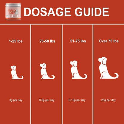 Dog Probiotic Supplement with Turkey Tail