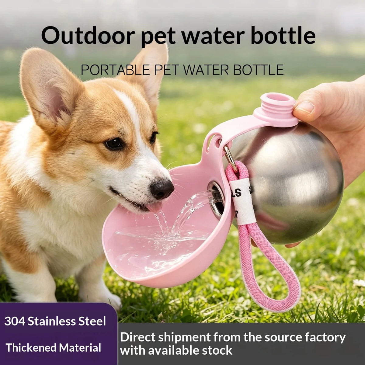 Portable Pet Water Bottle with Fold-Out Bowl