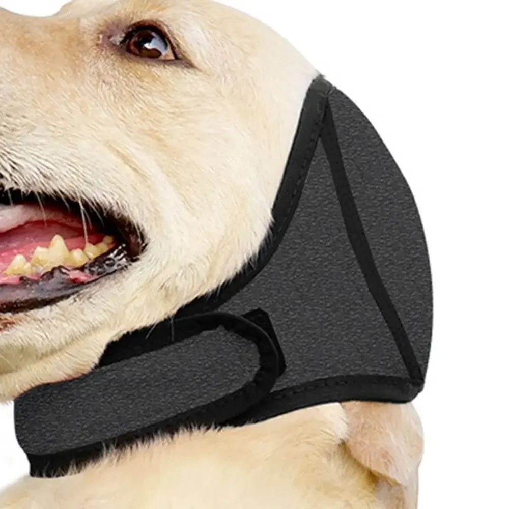 Noise-Cancelling Dog Ear Muffs